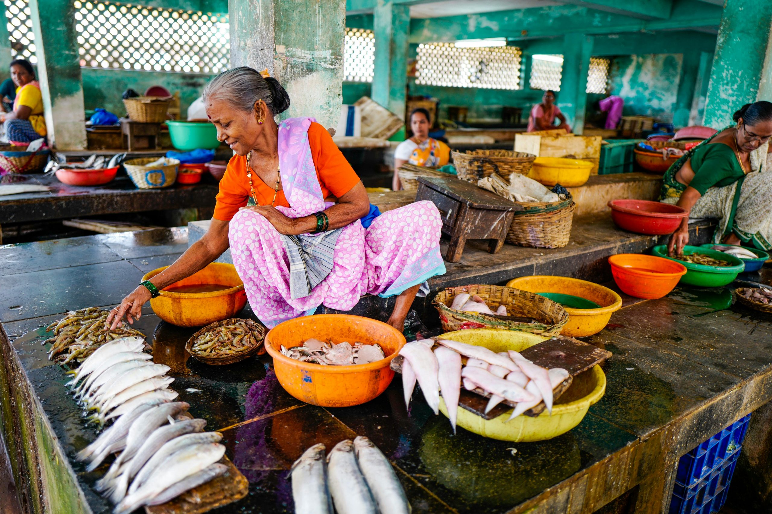 Trips A vibrant Indian fish market with women selling fresh seafood in Bandoli, India.